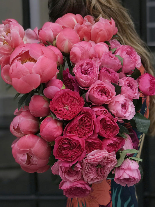 Embracing the Beauty of Peony
