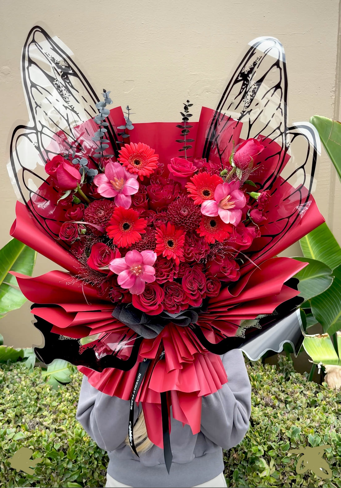 Wings of Love