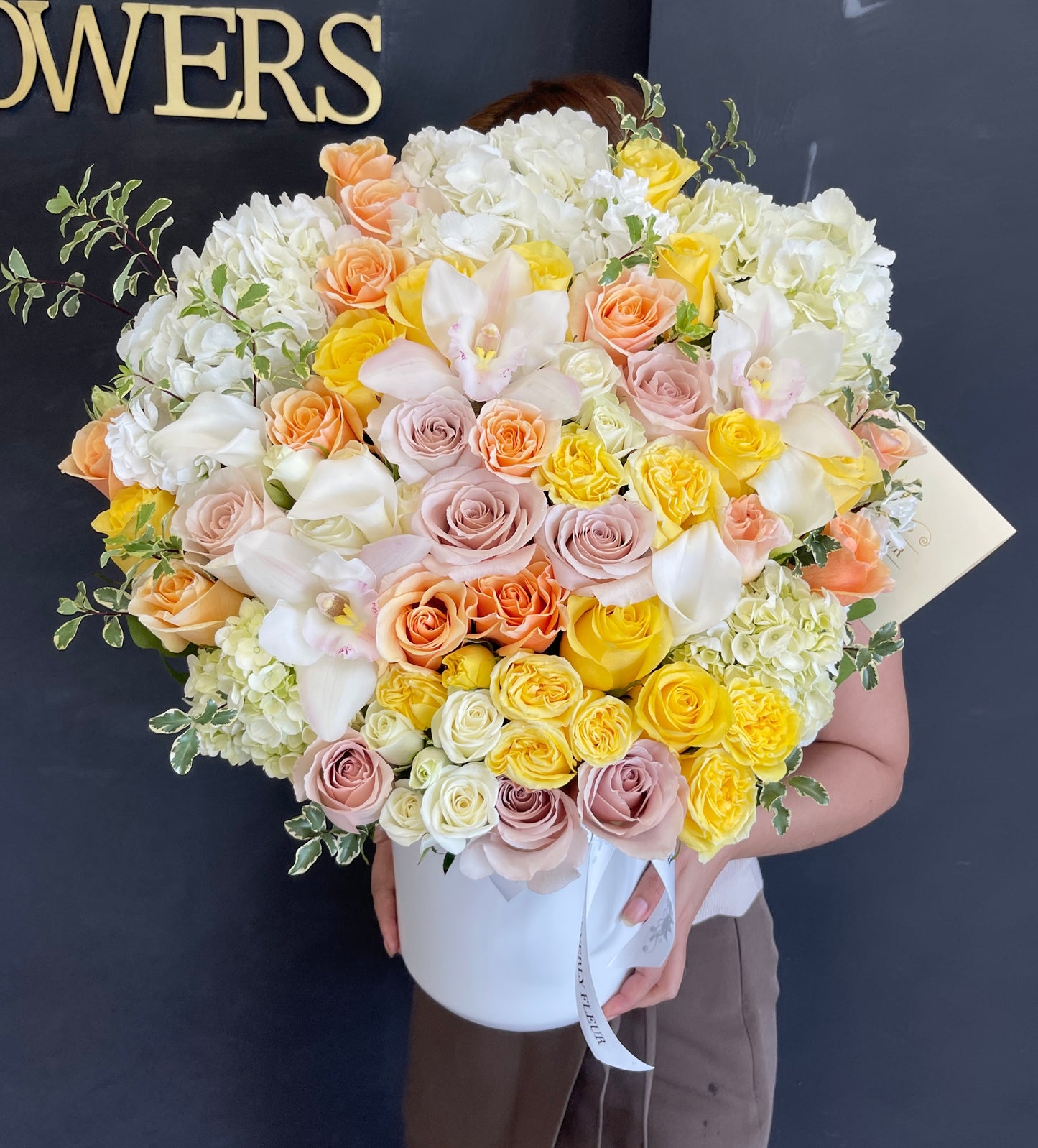 Ray of Sunshine - Holidays