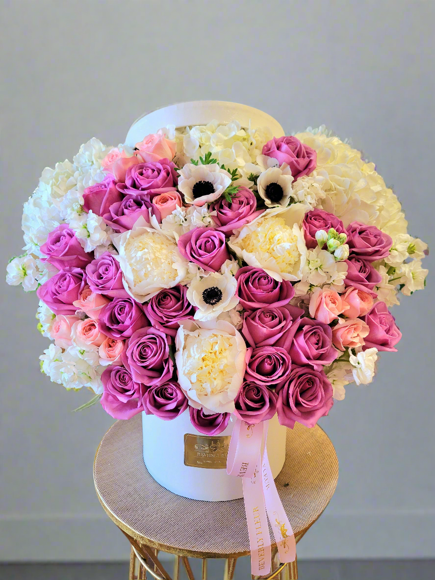 Peony Dream