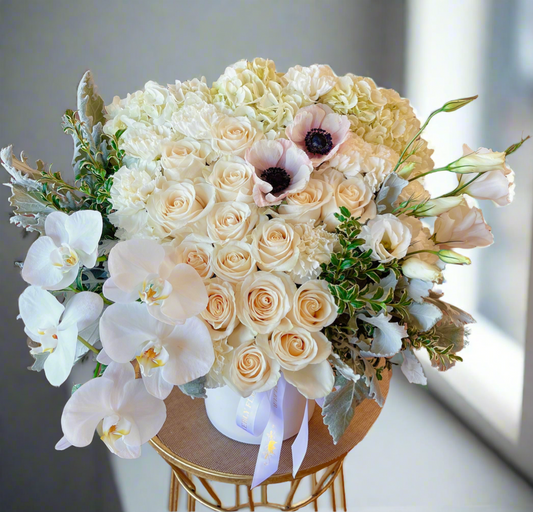 Newport Blooms