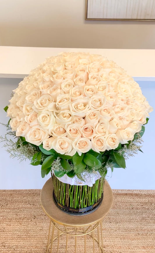 150 white Roses Standing - Holidays