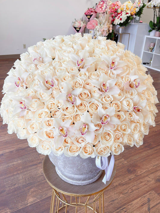 White poetry - Holidays